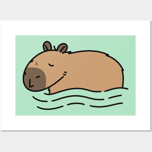 Swimming Capybara Posters and Art